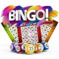 Bingo night